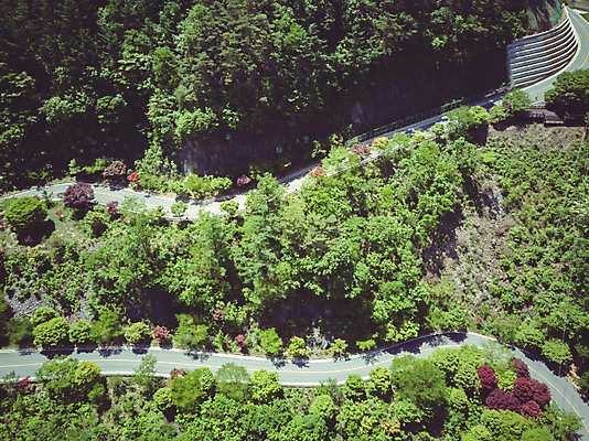 포토 JPG 주간 나무 길 여행 자연 한국 풍경 사람없음 야외 여름 관광지 맑음 여름풍경 언덕 항공촬영 국내여행 단양 명승지 전경 보발재 국내포토 자연요소 식물 계절 아시아 뷰포인트 날씨 생태계 충청북도 파일형식 탑뷰 여름_계절