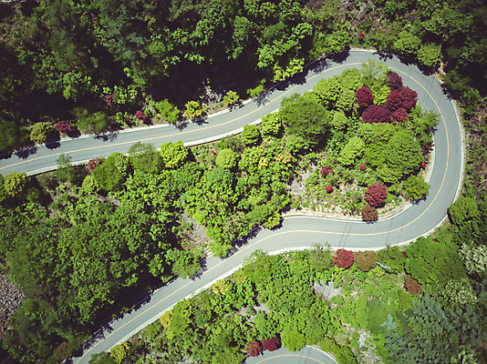 포토 JPG 주간 나무 길 여행 자연 한국 풍경 사람없음 야외 여름 관광지 맑음 여름풍경 언덕 항공촬영 국내여행 단양 명승지 전경 보발재 국내포토 자연요소 식물 계절 아시아 뷰포인트 날씨 생태계 충청북도 파일형식 탑뷰 여름_계절