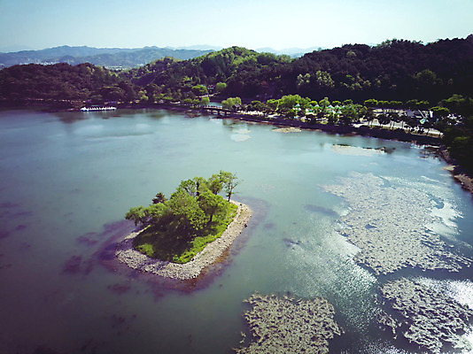 포토 JPG 주간 여행 자연 한국 풍경 사람없음 야외 여름 관광지 맑음 여름풍경 항공촬영 국내여행 명승지 의림지 제천 전경 국내포토 자연요소 계절 아시아 뷰포인트 날씨 저수지 생태계 충청북도 파일형식 탑뷰 제천10경 여름_계절