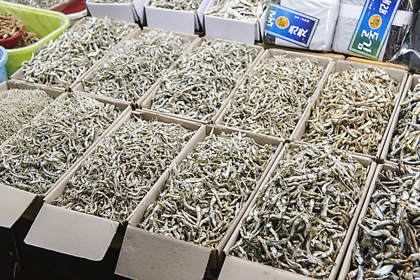 포토 JPG 음식 실내 사람없음 여러개 시장 특산물 재래시장 여수 맛집 멸치 국내포토 다수 어류 내부 전라남도 파일형식