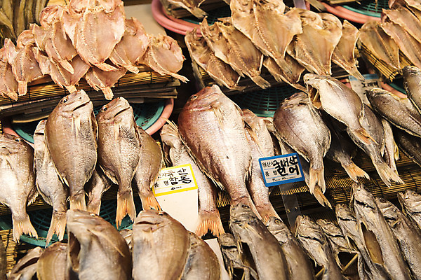 포토 JPG 음식 실내 사람없음 시장 특산물 재래시장 여수 맛집 말린생선 국내포토 내부 전라남도 파일형식