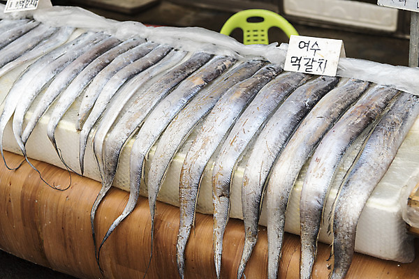 포토 JPG 음식 실내 사람없음 시장 특산물 재래시장 여수 맛집 먹갈치 국내포토 어류 내부 전라남도 파일형식