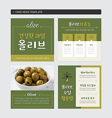 PSD 템플릿 웹템플릿 건강 사람없음 초록색 올리브오일 유기농 올리브 카키색 카드뉴스 이미지템플릿 웰빙 열매 컬러 기름_음식 파일형식