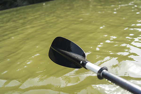 포토 JPG 주간 사람없음 야외 아웃포커스 물 강 수상스포츠 노 남한강 양평 패들 패들보드 국내포토 자연요소 스포츠 촬영기법 서핑 노_배의노 경기도 선박 파일형식