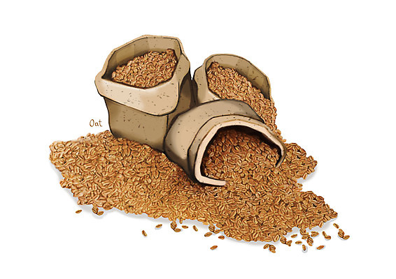 PSD 일러스트 식재료 건강 사람없음 주머니 쏟아짐 건강식품 슈퍼푸드 디테일 귀리 국내일러스트 음식 모션 곡류 파일형식