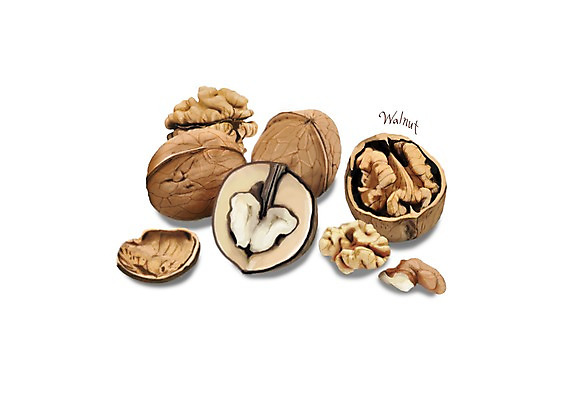 PSD 일러스트 건강 사람없음 여러개 호두 건강식품 슈퍼푸드 디테일 국내일러스트 음식 다수 견과류 파일형식