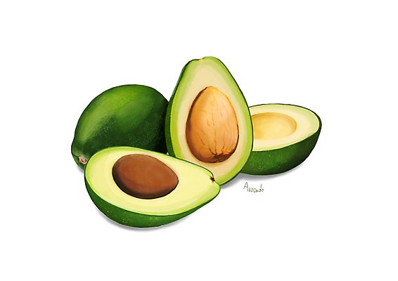 PSD 잎 일러스트 건강 씨앗 사람없음 여러개 건강식품 아보카도 슈퍼푸드 디테일 국내일러스트 식물 음식 다수 과일 파일형식