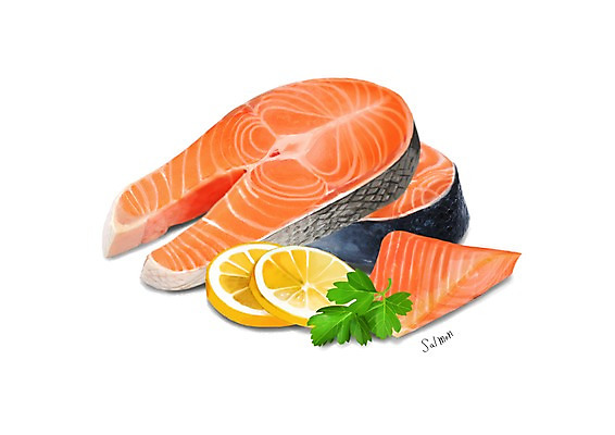 PSD 잎 일러스트 식재료 건강 사람없음 레몬 연어 건강식품 슈퍼푸드 디테일 국내일러스트 식물 음식 과일 어류 파일형식