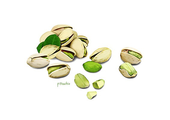 PSD 잎 일러스트 식재료 건강 사람없음 여러개 건강식품 피스타치오 슈퍼푸드 디테일 국내일러스트 식물 음식 다수 견과류 파일형식