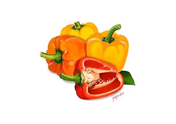 PSD 잎 일러스트 식재료 파프리카 건강 사람없음 여러개 건강식품 슈퍼푸드 디테일 국내일러스트 식물 음식 다수 채소 파일형식