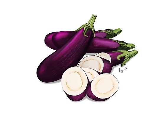 PSD 일러스트 식재료 가지 건강 사람없음 여러개 슬라이스 건강식품 슈퍼푸드 디테일 국내일러스트 음식 다수 채소 파일형식