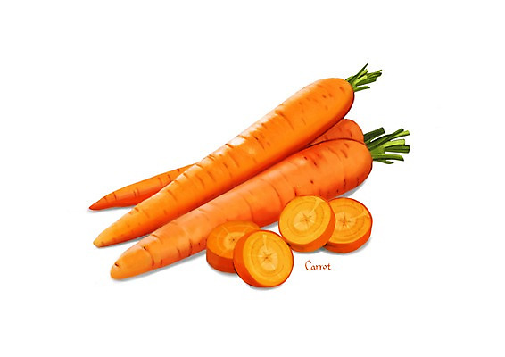 PSD 일러스트 식재료 건강 사람없음 여러개 당근 슬라이스 건강식품 슈퍼푸드 디테일 국내일러스트 음식 다수 뿌리채소 파일형식