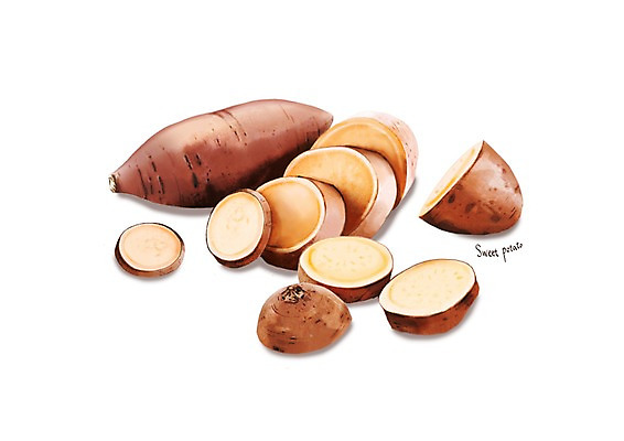 PSD 일러스트 식재료 건강 사람없음 여러개 슬라이스 고구마 건강식품 슈퍼푸드 디테일 국내일러스트 음식 다수 뿌리채소 파일형식