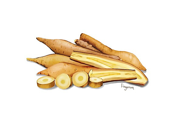 PSD 일러스트 건강 사람없음 여러개 건강식품 슈퍼푸드 디테일 국내일러스트 음식 다수 파일형식