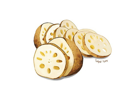 PSD 일러스트 식재료 건강 사람없음 여러개 슬라이스 건강식품 연근 슈퍼푸드 디테일 국내일러스트 음식 다수 채소 파일형식