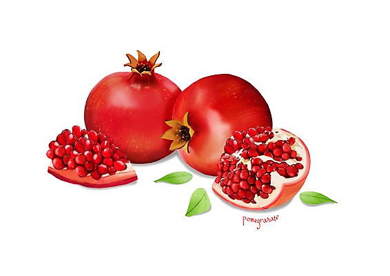 PSD 잎 일러스트 건강 사람없음 세개 석류 건강식품 석류알 슈퍼푸드 디테일 국내일러스트 식물 음식 과일 3 파일형식