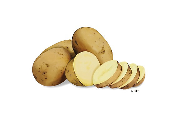 PSD 일러스트 식재료 감자 건강 사람없음 여러개 슬라이스 건강식품 슈퍼푸드 디테일 국내일러스트 음식 다수 채소 파일형식