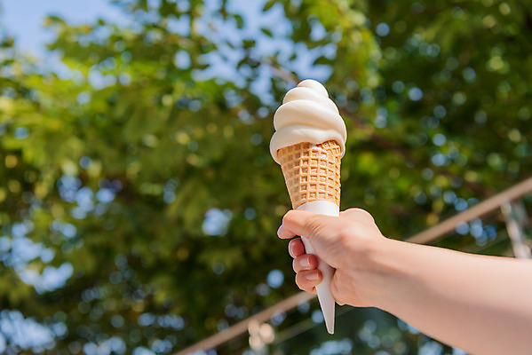 포토 JPG 주간 나무 손 여유 로우앵글 휴식 아이스크림 잔 들기 사람 야외 신체부위 컵 여름 얼음 잡기 차가움 시원함 성남 국내포토 자연요소 식물 식기 계절 감정 뷰포인트 컨셉 모션 디저트 경기도 파일형식