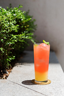 포토 JPG 주간 여유 휴식 잔 사람없음 야외 컵 여름 얼음 시원함 레몬 자몽 에이드 자몽에이드 국내포토 자연요소 식기 계절 감정 음료 컨셉 과일 파일형식