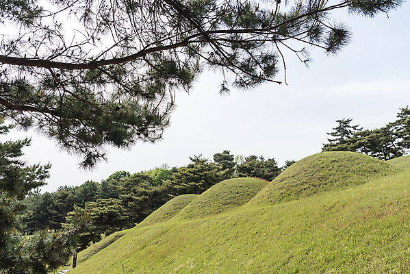 포토 JPG 주간 나무 한국전통 여행 유적지 하늘 풍경 사람없음 야외 관광지 봄 세계문화유산 문화재 역사 한국사 국내여행 사적지 무령왕릉 백제역사유적지구 송산리고분군 국내포토 자연요소 식물 전통 계절 고건축 한국 공주_충청남도 왕릉 파일형식