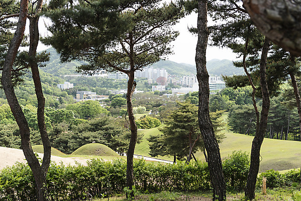 포토 JPG 주간 나무 한국전통 여행 유적지 풍경 사람없음 야외 관광지 봄 세계문화유산 문화재 역사 한국사 국내여행 사적지 무령왕릉 백제역사유적지구 송산리고분군 국내포토 자연요소 식물 전통 계절 고건축 한국 공주_충청남도 왕릉 파일형식