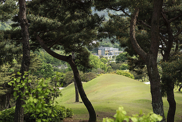 포토 JPG 주간 나무 한국전통 여행 유적지 풍경 사람없음 야외 관광지 봄 세계문화유산 문화재 역사 한국사 국내여행 사적지 무령왕릉 백제역사유적지구 송산리고분군 국내포토 자연요소 식물 전통 계절 고건축 한국 공주_충청남도 왕릉 파일형식