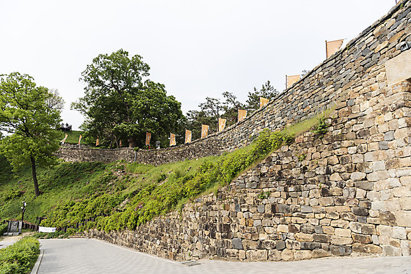 포토 JPG 주간 나무 한국전통 여행 유적지 하늘 풍경 사람없음 야외 관광지 봄 세계문화유산 문화재 깃발 역사 한국사 국내여행 사적지 백제역사유적지구 공산성 국내포토 자연요소 식물 전통 계절 고건축 한국 공주_충청남도 파일형식