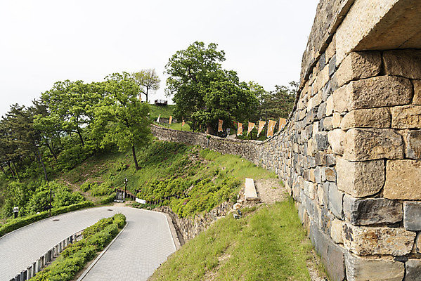 포토 JPG 주간 나무 한국전통 여행 유적지 풍경 사람없음 야외 관광지 봄 세계문화유산 문화재 역사 한국사 국내여행 사적지 백제역사유적지구 공산성 국내포토 자연요소 식물 전통 계절 고건축 한국 공주_충청남도 파일형식
