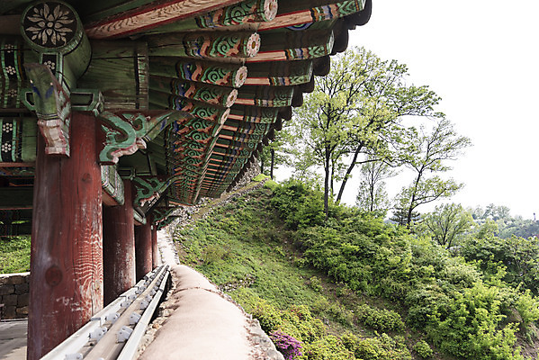 포토 JPG 주간 한국전통 여행 유적지 풍경 사람없음 야외 관광지 봄 세계문화유산 문화재 역사 한국사 국내여행 사적지 백제역사유적지구 국내포토 자연요소 전통 계절 고건축 한국 파일형식
