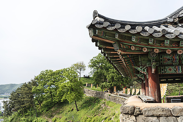 포토 JPG 주간 나무 한국전통 여행 유적지 하늘 풍경 사람없음 야외 관광지 봄 세계문화유산 문화재 역사 한국사 국내여행 사적지 백제역사유적지구 공산성 국내포토 자연요소 식물 전통 계절 고건축 한국 공주_충청남도 파일형식