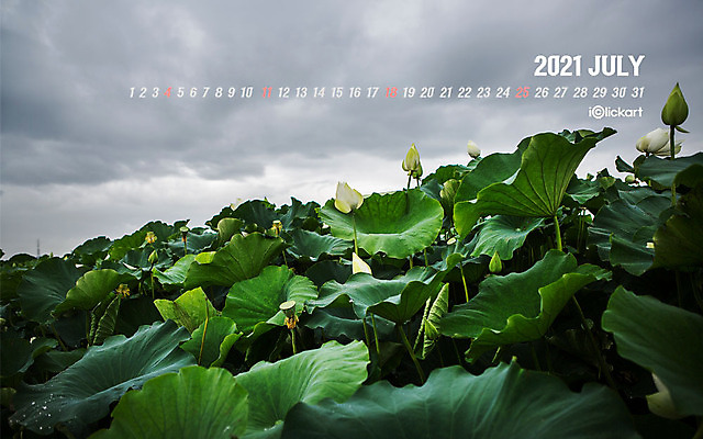 JPG 월페이퍼 바탕화면 7월 날짜 파일형식