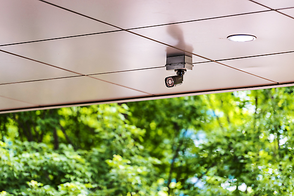포토 JPG 주간 나무 안전 사람없음 야외 사회이슈 천장 보안 감시카메라 국내포토 자연요소 식물 컨셉 카메라 파일형식