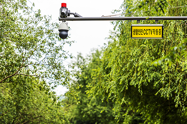 포토 JPG 주간 나무 안전 사람없음 야외 사회이슈 보안 풀숲 감시카메라 국내포토 자연요소 식물 컨셉 카메라 숲 파일형식