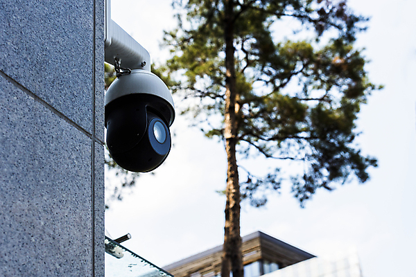 포토 JPG 주간 나무 벽 안전 사람없음 야외 사회이슈 보안 감시카메라 국내포토 자연요소 식물 컨셉 카메라 파일형식