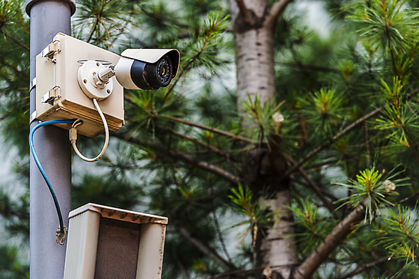 포토 JPG 주간 가로등 안전 사람없음 야외 소나무 사회이슈 보안 감시카메라 국내포토 자연요소 나무 공공시설 컨셉 카메라 파일형식