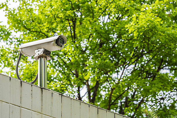 포토 JPG 주간 나무 벽 안전 사람없음 야외 사회이슈 보안 감시카메라 국내포토 자연요소 식물 컨셉 카메라 파일형식