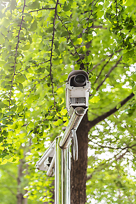 포토 JPG 주간 나무 가로등 안전 사람없음 야외 사회이슈 보안 감시카메라 국내포토 자연요소 식물 공공시설 컨셉 카메라 파일형식
