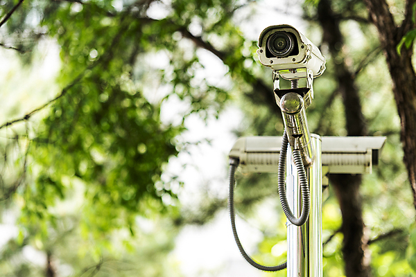 포토 JPG 주간 나무 가로등 안전 사람없음 야외 아웃포커스 사회이슈 보안 감시카메라 국내포토 자연요소 식물 공공시설 컨셉 촬영기법 카메라 파일형식
