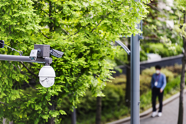 포토 JPG 주간 나무 가로등 안전 사람없음 야외 아웃포커스 사회이슈 보안 감시카메라 국내포토 자연요소 식물 공공시설 컨셉 촬영기법 카메라 파일형식