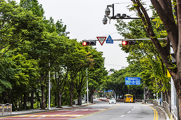 포토 JPG 주간 나무 도로 가로등 자동차 버스 사람없음 야외 표지판 사회이슈 도로표지판 보안 교통안전 감시카메라 국내포토 자연요소 식물 공공시설 길 육상교통 컨셉 교통시설 대중교통 알림판 안전 카메라 파일형식