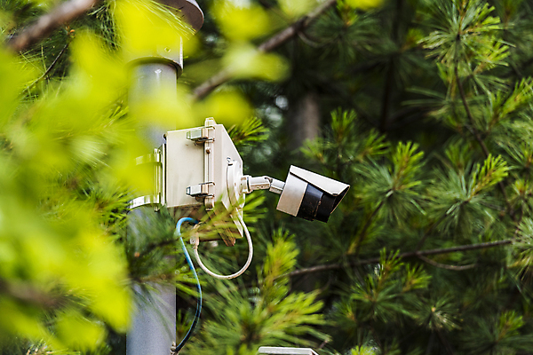 포토 JPG 주간 가로등 안전 사람없음 야외 소프트포커스 사회이슈 보안 솔잎 감시카메라 국내포토 자연요소 공공시설 컨셉 잎 촬영기법 카메라 파일형식