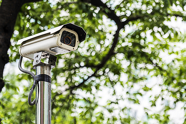 포토 JPG 주간 나무 가로등 안전 사람없음 야외 아웃포커스 사회이슈 보안 감시카메라 국내포토 자연요소 식물 공공시설 컨셉 촬영기법 카메라 파일형식