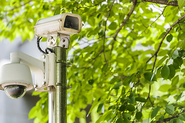 포토 JPG 주간 가로등 나뭇잎 안전 사람없음 야외 사회이슈 보안 감시카메라 국내포토 자연요소 공공시설 컨셉 잎 카메라 파일형식