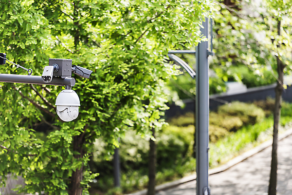 포토 JPG 주간 나무 가로등 안전 사람없음 야외 아웃포커스 사회이슈 보안 감시카메라 국내포토 자연요소 식물 공공시설 컨셉 촬영기법 카메라 파일형식