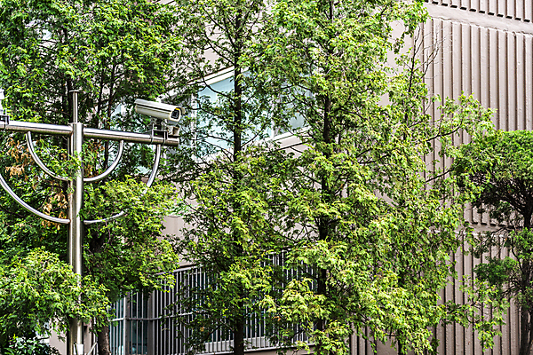 포토 JPG 주간 나무 가로등 아파트 안전 사람없음 야외 건물 사회이슈 보안 감시카메라 국내포토 자연요소 식물 건축물 공공시설 컨셉 주택 카메라 파일형식