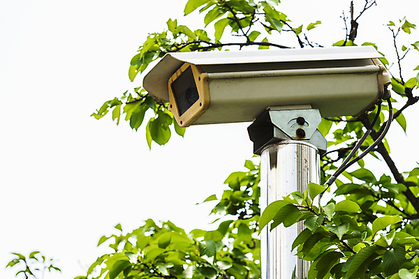 포토 JPG 주간 가로등 나뭇잎 안전 사람없음 야외 사회이슈 보안 감시카메라 국내포토 자연요소 공공시설 컨셉 잎 카메라 파일형식