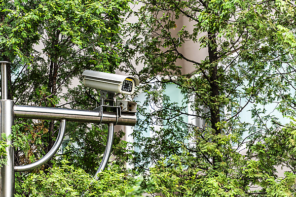 포토 JPG 주간 가로등 나뭇잎 안전 사람없음 야외 사회이슈 보안 감시카메라 국내포토 자연요소 공공시설 컨셉 잎 카메라 파일형식