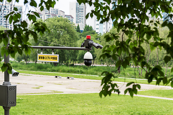 포토 JPG 주간 공원 나뭇잎 안전 사람없음 야외 사회이슈 보안 감시카메라 방범카메라 국내포토 자연요소 공공시설 컨셉 잎 카메라 파일형식