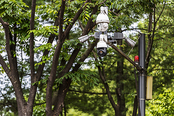 포토 JPG 주간 나무 가로등 안전 사람없음 야외 사회이슈 보안 감시카메라 국내포토 자연요소 식물 공공시설 컨셉 카메라 파일형식