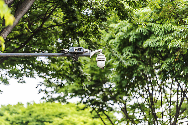 포토 JPG 주간 나무 가로등 안전 사람없음 야외 아웃포커스 사회이슈 보안 감시카메라 국내포토 자연요소 식물 공공시설 컨셉 촬영기법 카메라 파일형식